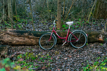 Fototapeta premium red bicycle in the park, abandoned place, Slovakia