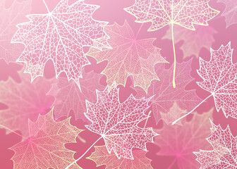 Leaves. Fall skeleton maple foliage.  - 495164515