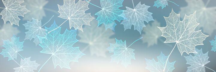 Maple leaves. Abstract background with skeleton fall foliage.  - 495164516