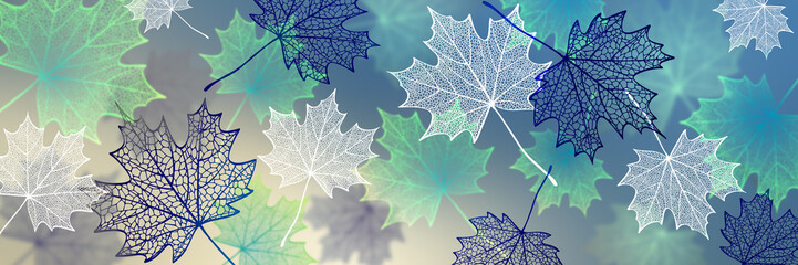 Fall leaves. Abstract background with skeleton maple foliage.  - 495164517