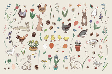 Easter rabbits, eggs, chickens, chicks, flowers, geese illustrations set