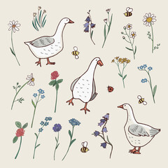 Goose farm animal with flowers vector illustrations set