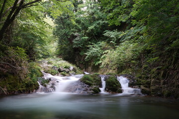 Obraz premium せせらぎ