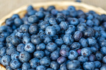 Fresh Ripe Blueberries