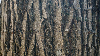Texture