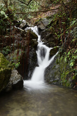 Naklejka premium 山奥の滝