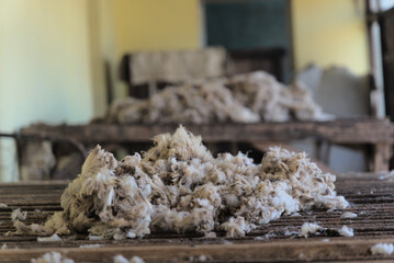 Wolle aus Südafrika