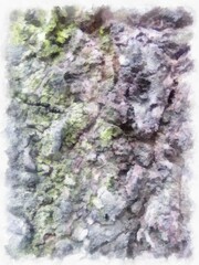 The texture of the bark on the tree watercolor style illustration impressionist painting.