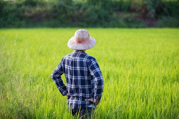 farmer