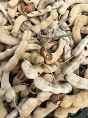 dry tamarind on the ground
