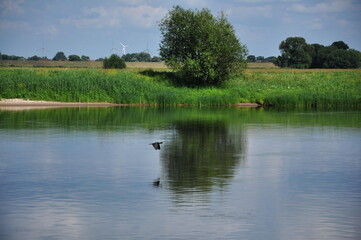 River  in Tangermunde, Germany 2011