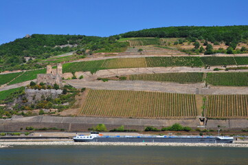 Obraz premium Ship on the Rhine and ruins of Ehrenfels Castle, Rhineland-Palatinate, Germany,2015