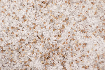Brine shrimp - Artemia ready mix live food. Ready mix of artemia larvae eggs, salt and microalgae....