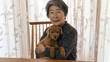 愛犬のトイプードルを抱きかかえた黒い服の高齢者女性