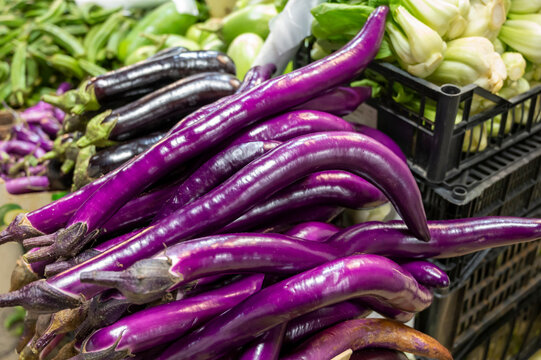 Sicilian long purple eggplants vegetables for sale at Itallian market