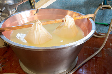 Process of making wheels of parmigiano-reggiano parmesan cheese on small cheese farm in Parma, Italy