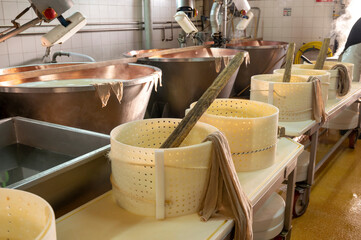 Process of making wheels of parmigiano-reggiano parmesan cheese on small cheese farm in Parma, Italy