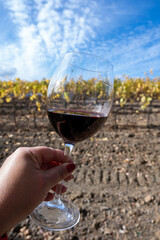 Tasting of red sangiovese wine with typical hilly vineyards and cypress tree on background near Montepulciano, Tuscany, Italy