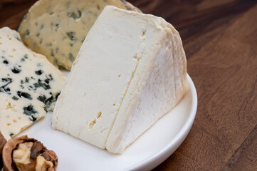 French cheeses, blue sheep cheese roquefort and Delice de Bourgogne cow's milk cheese from Burgundy