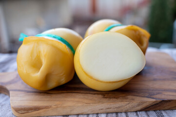 Italian cheeses collection, smoked scamorza pear shaped cheese from small cheese farm in South Italy