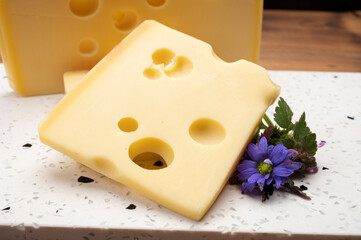 Swiss cheese collection, yellow emmentaler cheese with round holes