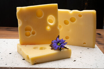 Swiss cheese collection, yellow emmentaler cheese with round holes