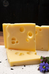 Swiss cheese collection, yellow emmentaler cheese with round holes