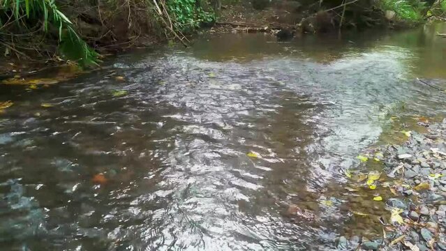 corriente de agua en un dia caluroso