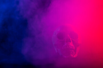 Human skull in pink and blue smoke on a black background. Halloween.