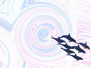 イルカの軍団と縁