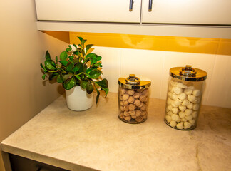 Kitchen Counter With Plant And Two Glass Containers