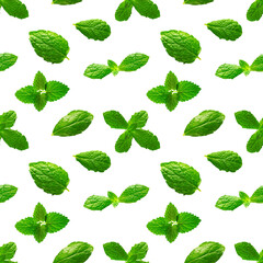 Seamless pattern of fresh mint leaves on white background for packaging design. peppermint abstract background.