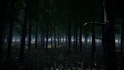 Nature Dark Shady Forest 3d rendering