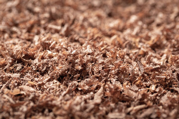 Walnut sawdust close-up.