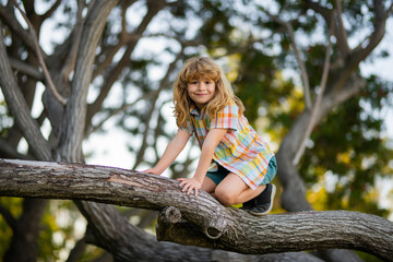 Child on a tree branch. Child climbing in adventure activity park. Insurance kids. Kid boy playing and climbing a tree and hanging branch.