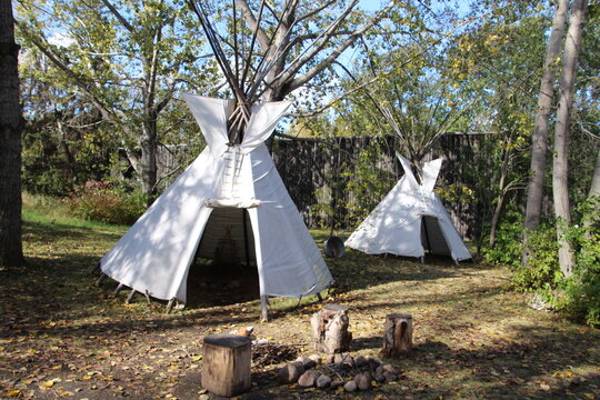 Tipi In The Woods