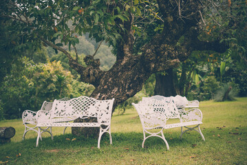Outdoor white steel bench under tree in nature flower garden background. Relaxation in nature concept.