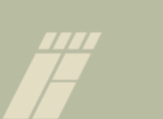 VINTAGE WINDOW SHADOW OVELAY VECTOR DESIGN ELEMENT