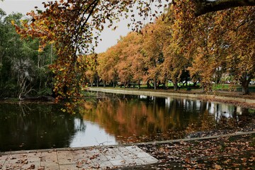 Autumn trees in Hyde Park Perth Western Australia
