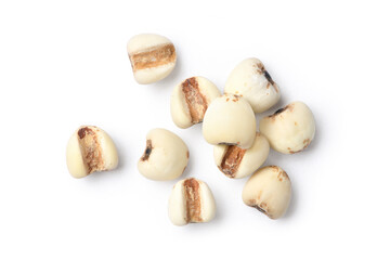 Flat lay of Job's tears ( Adlay millet) seeds isolated on white background.