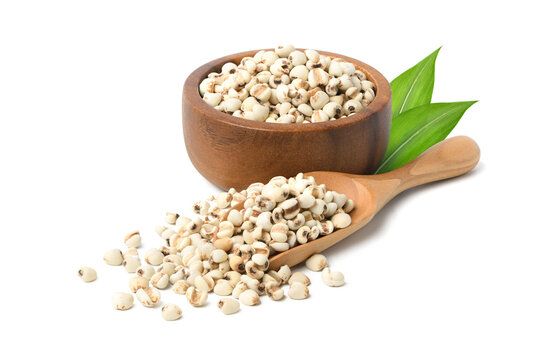 Job's tears ( Adlay millet) in wooden bowl and spoon with green leaves isolated on white background.