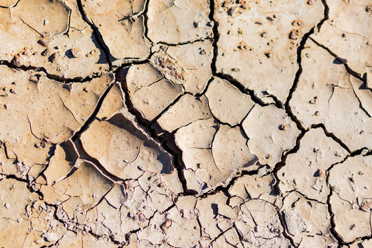 dry peeling mud and clay with cracks through it