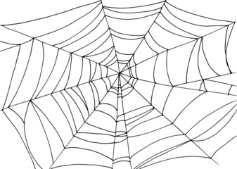 the texture of the web. Horizontal rectangular pattern made of black spider web line in doodle style on white for Halloween design pattern and insect pattern