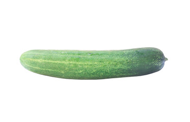 Single green fresh cucumber vegetable isolated on white background with clipping path