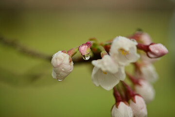 It's getting warmer and warmer with every rain
