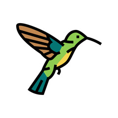 colibri bird color icon vector. colibri bird sign. isolated symbol illustration