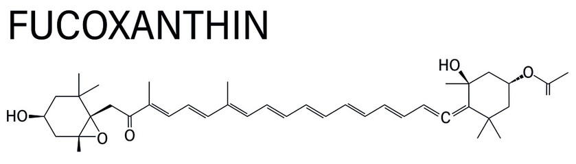 Fucoxanthin brown algae pigment molecule. Ingredient of some dietary supplements. Skeletal formula.