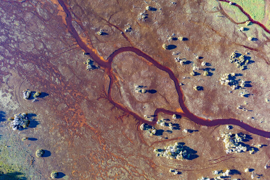 abstract aerial image of creek winding through wetland