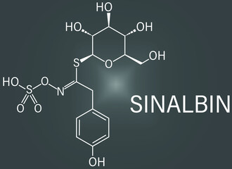 Sinalbin glucosinolate molecule. Present in seeds of white mustard (Sinapis alba). Skeletal formula.