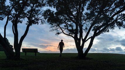 Silhouette image of a man walking at dawn. Framed by Pohutukawa trees. Auckland.
